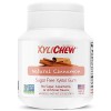 Xylichew 100% xylitol jars chewing-gum - non ogm, sans gluten, aspartame, et la gomme sans sucre haleine -bad et bouche sèche