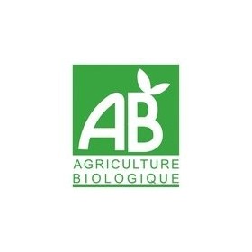 Escargot au praliné enrobé de chocolat au lait, 140 g, Ballotin 140g