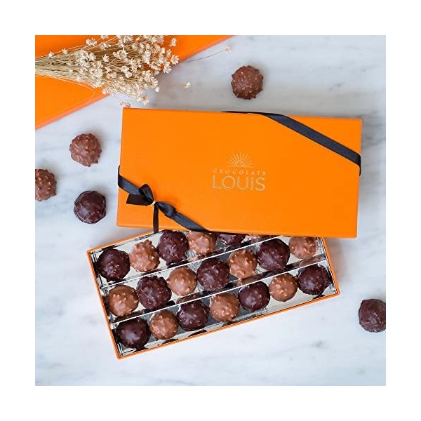 CHOCOLATS LOUIS - Coffret chocolat 21 Rochers - Chocolat Noir et Lait - Chocolat a offrir - Coffret cadeau - Fabrication Fran