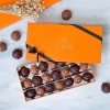 CHOCOLATS LOUIS - Coffret chocolat 21 Rochers - Chocolat Noir et Lait - Chocolat a offrir - Coffret cadeau - Fabrication Fran