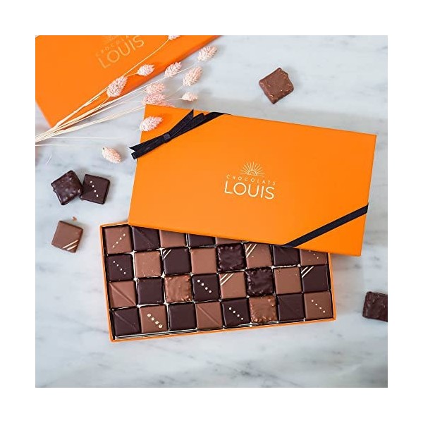 CHOCOLATS LOUIS - Coffret chocolat 21 Rochers - Chocolat Noir et Lait - Chocolat a offrir - Coffret cadeau - Fabrication Fran