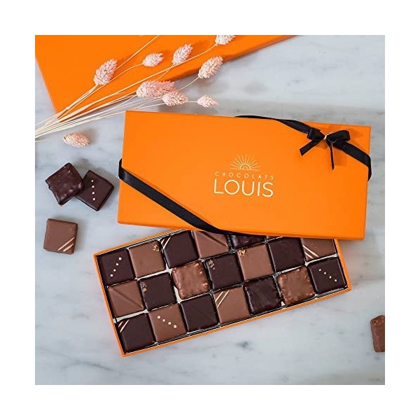 CHOCOLATS LOUIS - Coffret chocolat 21 Rochers - Chocolat Noir et Lait - Chocolat a offrir - Coffret cadeau - Fabrication Fran