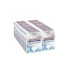 Chewing gum blancheur menthe polaire sans sucres HOLLYWOOD - 20 étuis