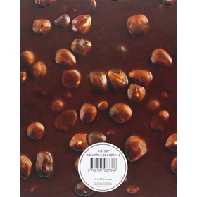 Le grand livre du chocolat maison