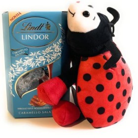 Lindt Lindor Peluche cadeau Noël 2023 – 200 g Lindor au caramel salé + peluche coccinelle porte chance 20 cm caramel salé 